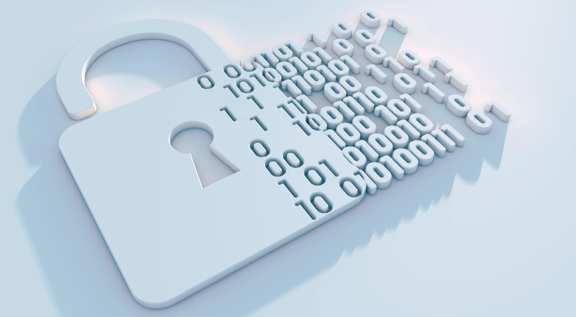 Don’t Lose Sight of the Dark Web