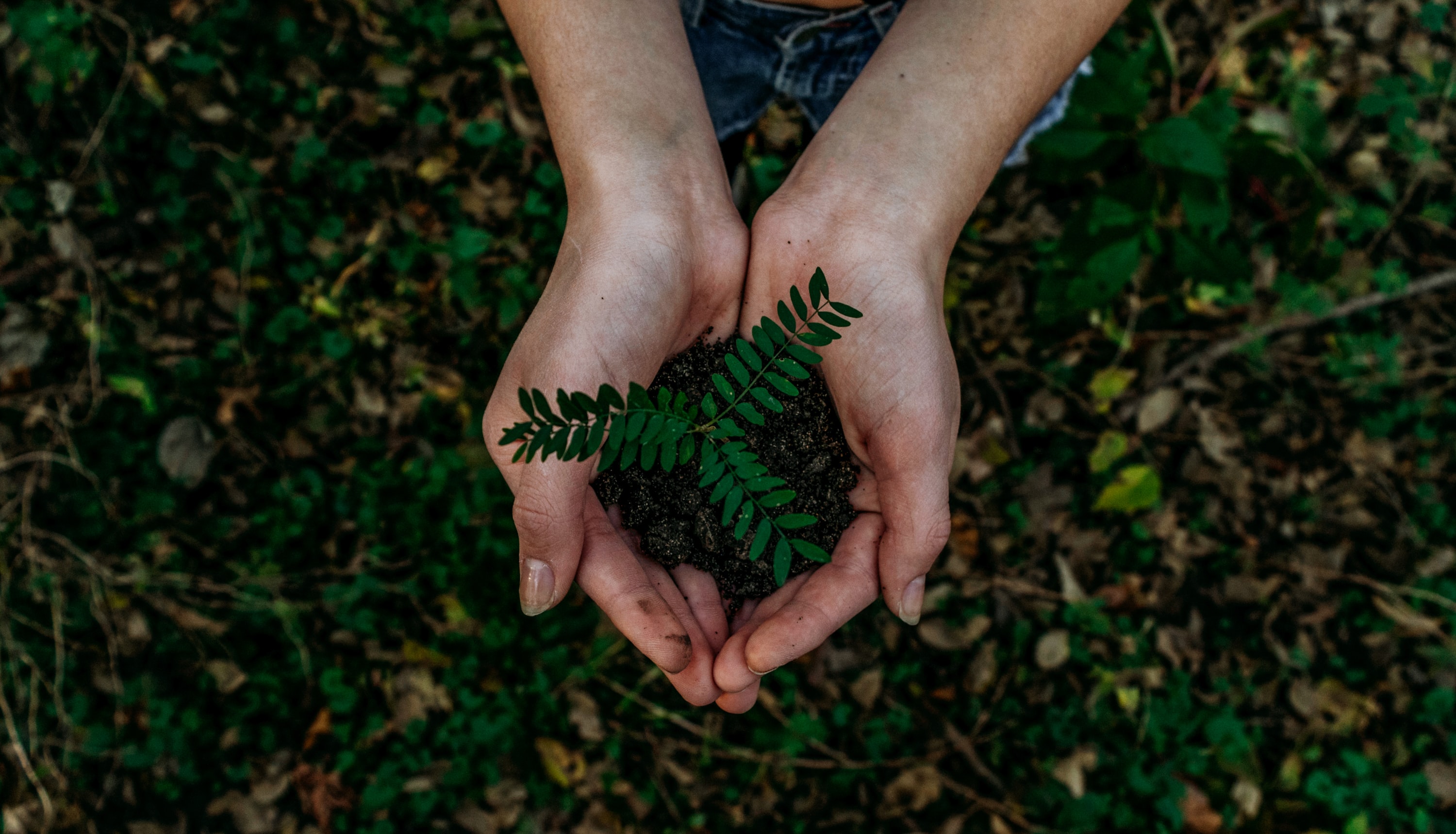 Celebrate Earth Day With LastPass